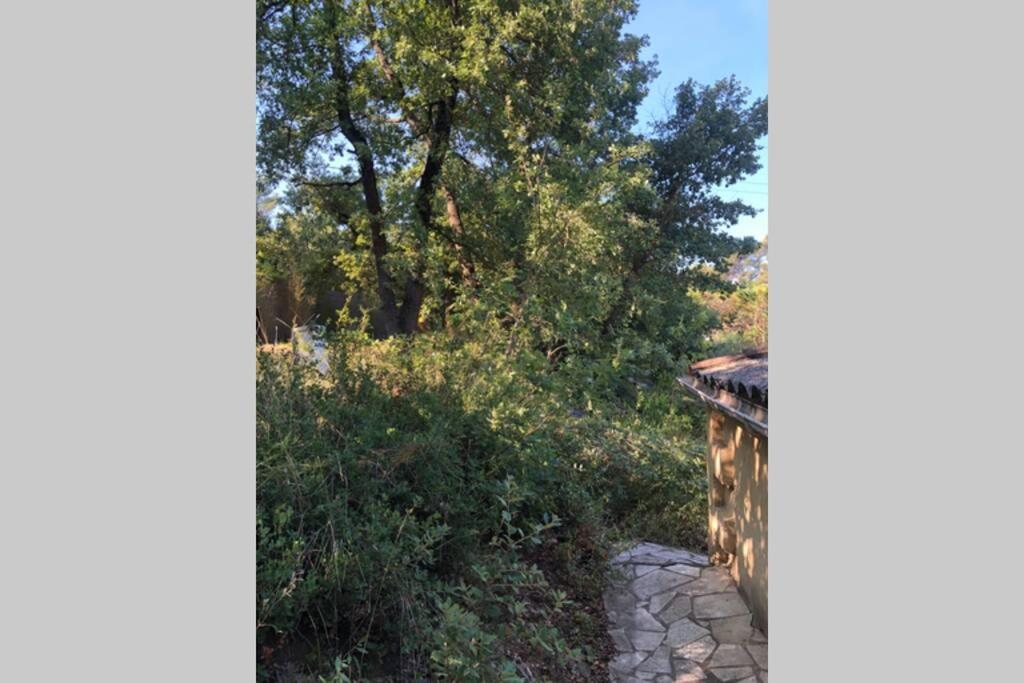 L'Escapade. Entre Aix Et Marseille, Studio Pleine Nature. Fuveau Kültér fotó